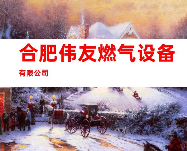 合肥伟友燃气设备有限公司